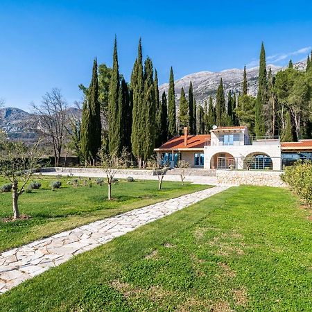 Villa Agave Gruda Exteriér fotografie