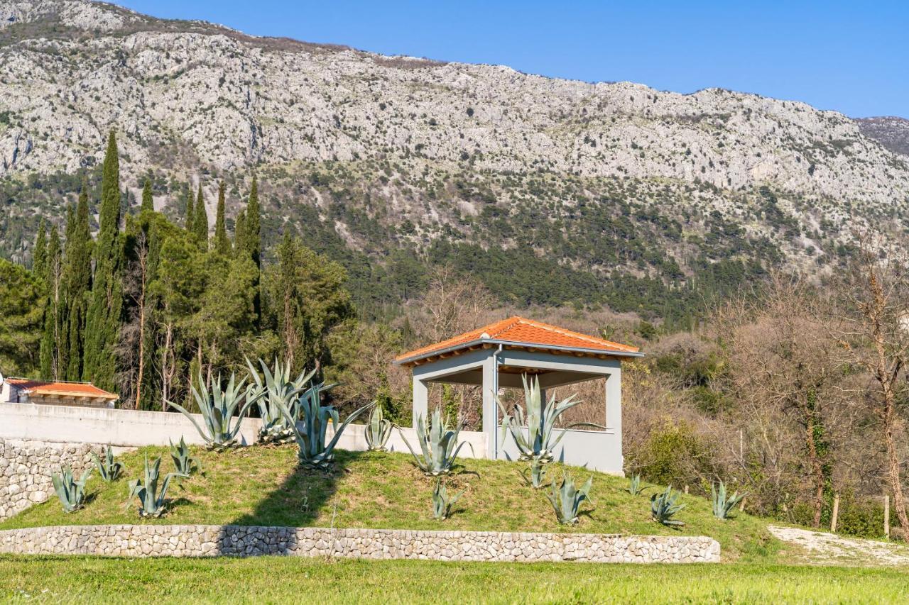 Villa Agave Gruda Exteriér fotografie