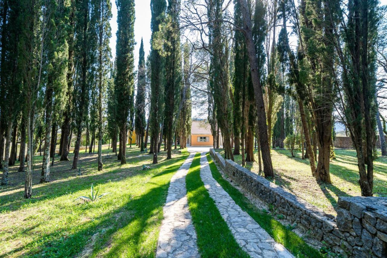 Villa Agave Gruda Exteriér fotografie
