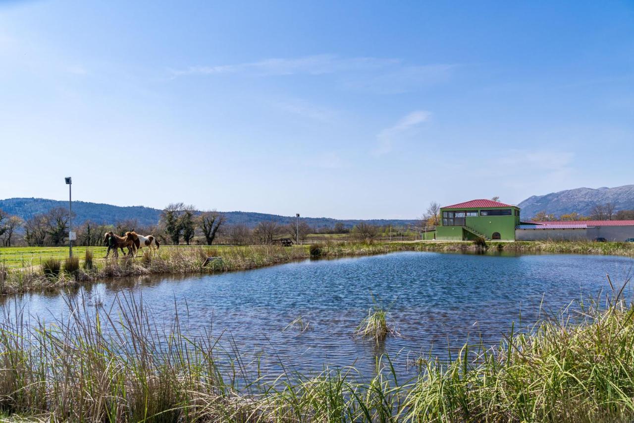 Villa Agave Gruda Exteriér fotografie