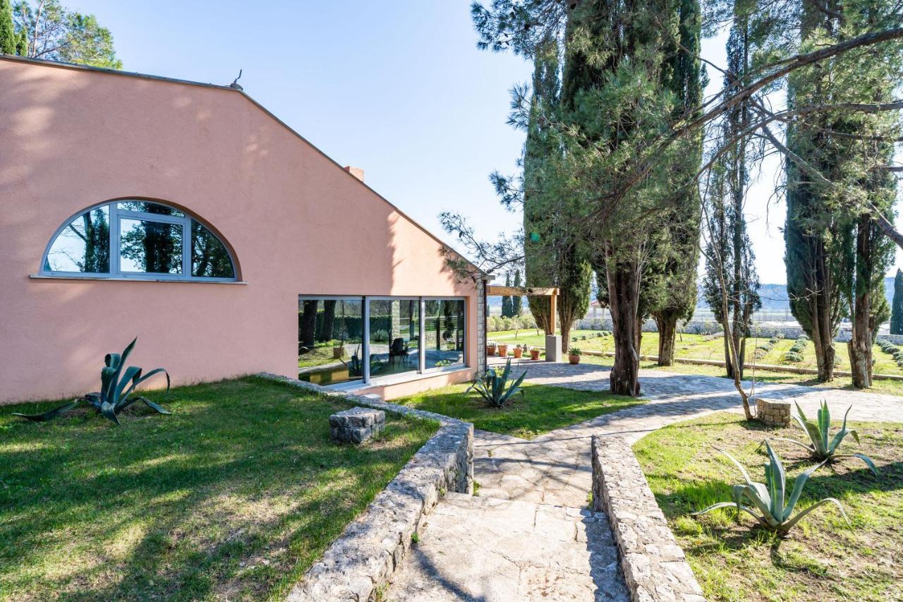 Villa Agave Gruda Exteriér fotografie