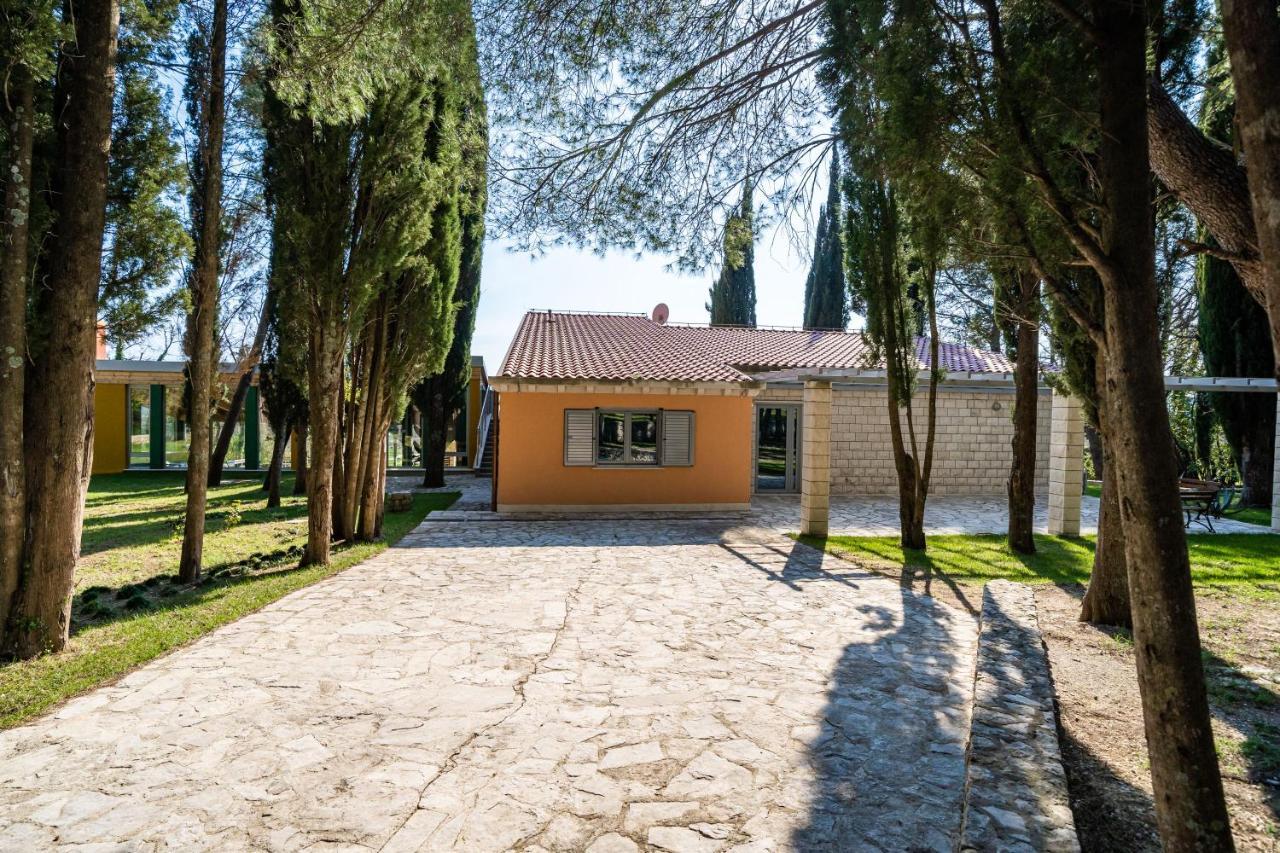 Villa Agave Gruda Exteriér fotografie